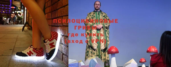 apvp Елизово
