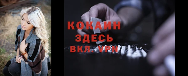 тгк Ельня