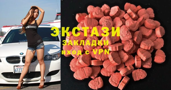 тгк Ельня