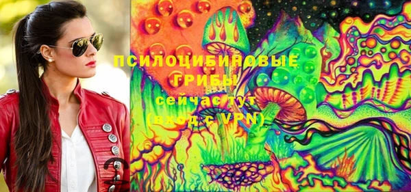 apvp Елизово