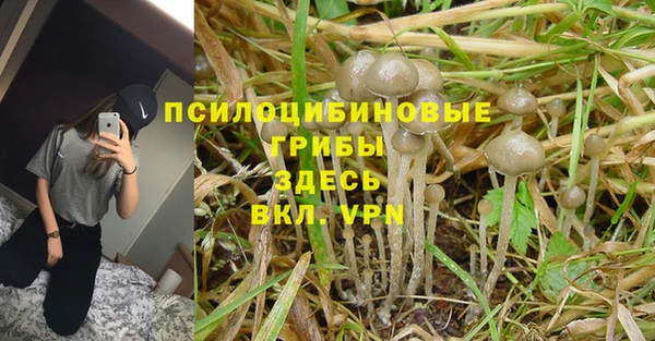 экстази Дмитровск